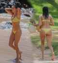 1024x768, 125 KB, Nina_Dobrev_in_a_bikini_at_the_beach_in_Maui_2.jpg